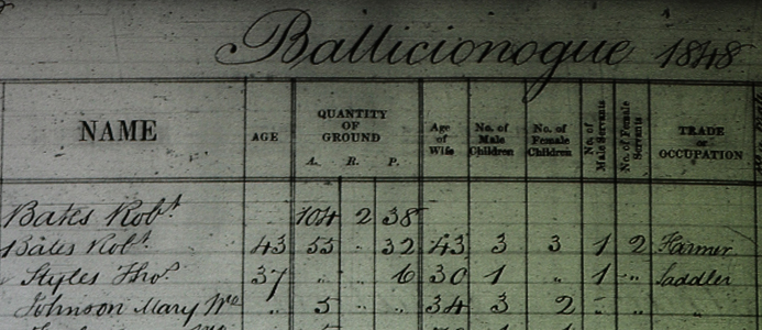 Residents on the estate of the Earl Fitzwilliam in County Wicklow, Ireland: Part III, 1848 & 1850