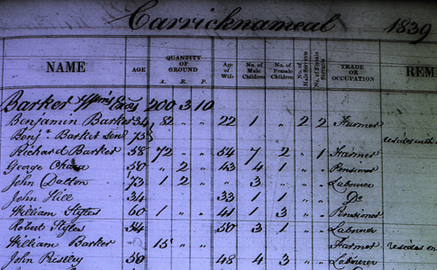 Residents on the estate of the Earl Fitzwilliam in County Wicklow, Ireland: Part II, 1839
